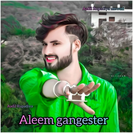 Aleem Gangester (Hindi) ft. Fasil Singer Bublehedi | Boomplay Music