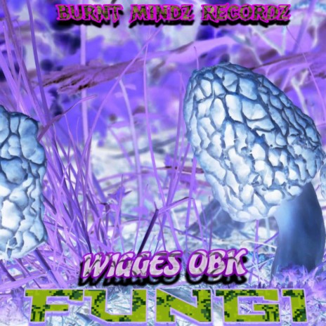 Fungi ft. Wigges obk | Boomplay Music