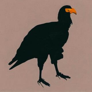 Vultures lyrics | Boomplay Music