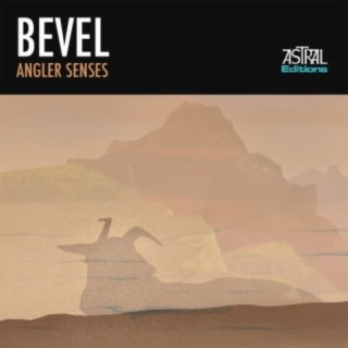 Bevel