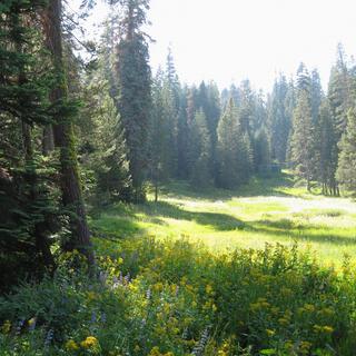 lake tahoe