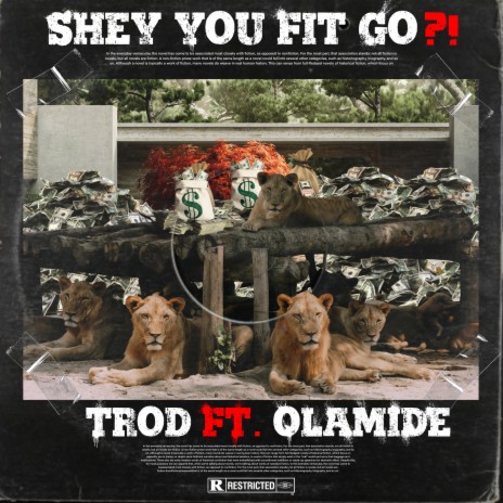 Shey You Fit Go?! ft. Olamide