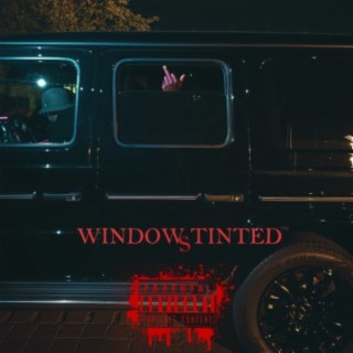 tinted windows album