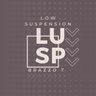 Low Suspension