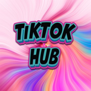 TikTokHub