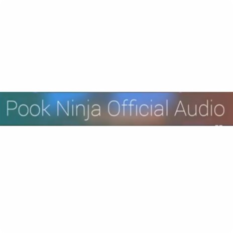 Pook Ninja ft. Pook Ninja | Boomplay Music