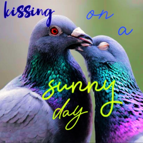 Two Pigeons Kissing on a Sunny Day | Boomplay Music