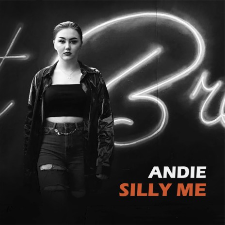 Silly Me | Boomplay Music