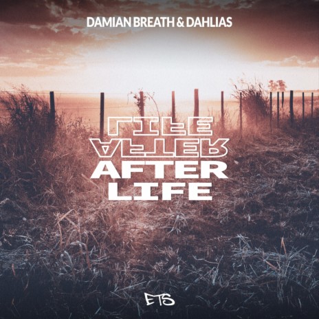 After Life (8D Audio) ft. Dahlias | Boomplay Music