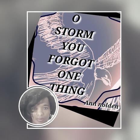 O STORM YOU FORGOT ONE THINGG | Boomplay Music