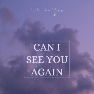 Can I See You Again lyrics | Boomplay Music