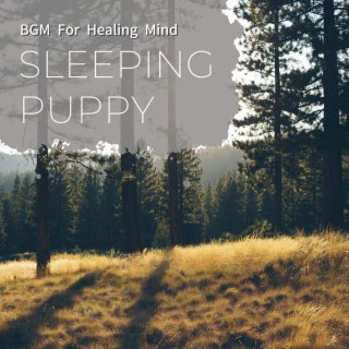 Bgm for Healing Mind