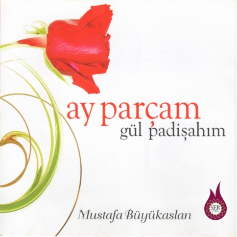 Ayrılacağım | Boomplay Music