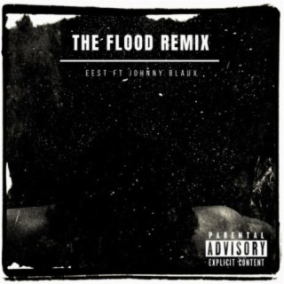 The Flood (Remix)