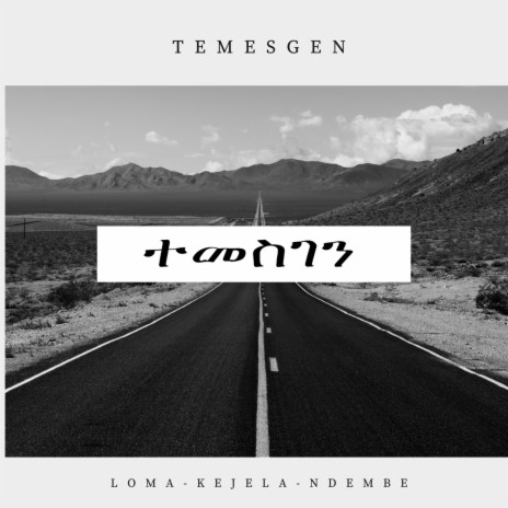 Temesgen | Boomplay Music
