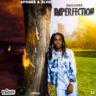 Imperfection lyrics | Boomplay Music