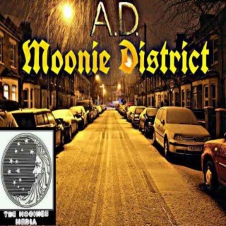 Moonie district