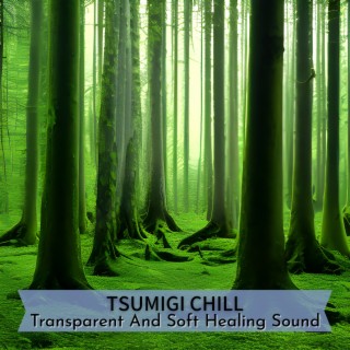 Transparent and Soft Healing Sound