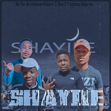 Shayile ft. Subzero D musiq & Sgwaza & Boka Tee