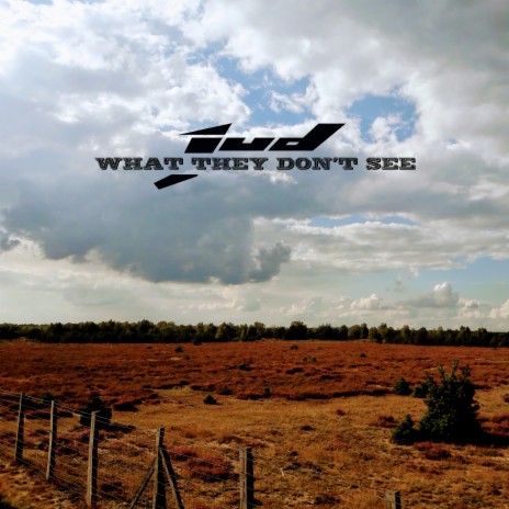 What They Don't See ft. David Judson Clemmons | Boomplay Music