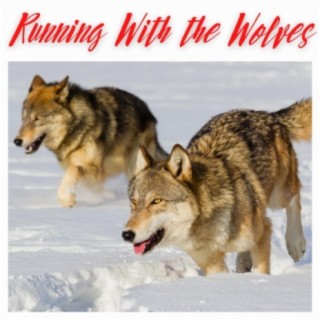 Running With the Wolves