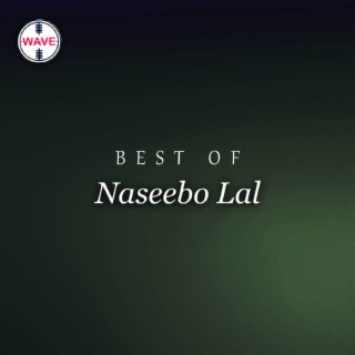 Best Of Naseebo Lal