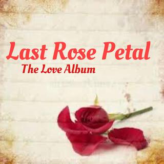 Last Rose Petal