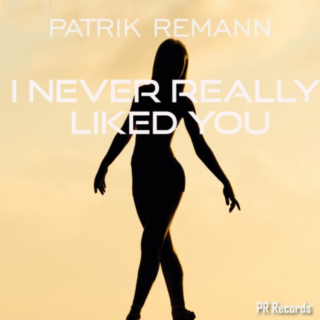 I never really liked you (Original Mix)