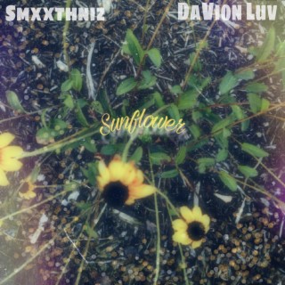 Sunflower ft. DaVion Luv lyrics | Boomplay Music