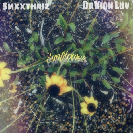 Sunflower ft. DaVion Luv | Boomplay Music