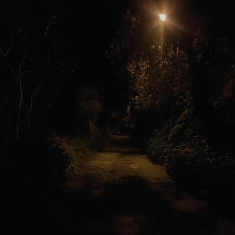 dark road