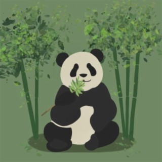 Lazy Panda