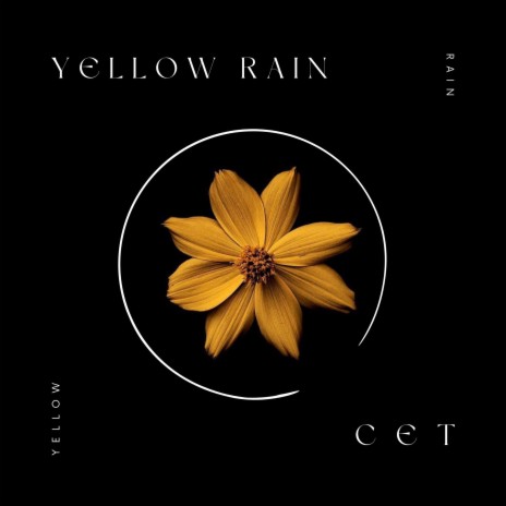 Yellow Rain | Boomplay Music