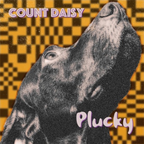 Plucky | Boomplay Music