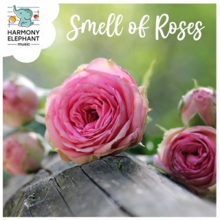 Smell of Roses
