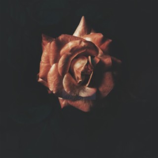 Dead Roses (unreleased Rosalieb sessions)