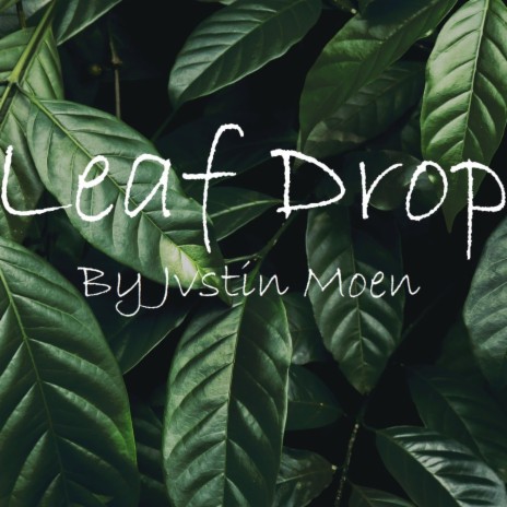 Leaf Drop | Boomplay Music