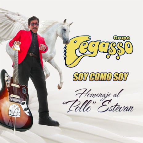 Soy Como Soy - Homenaje Al Pollo Estevan ft. Grupo Pegasso del Pollo Estevan | Boomplay Music