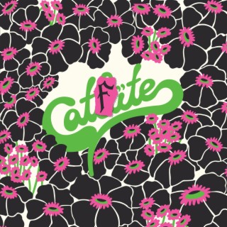 Catfite (punk version)