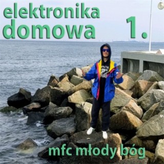 Elektronika Domowa 1