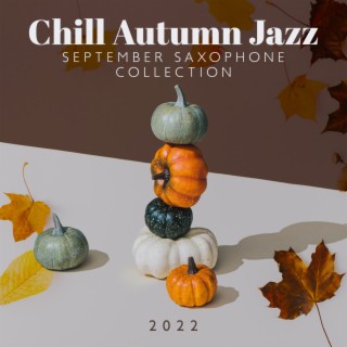 BGM Chilled Jazz Collection