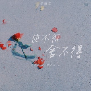 使不得 舍不得（DJ豪大大版） lyrics | Boomplay Music