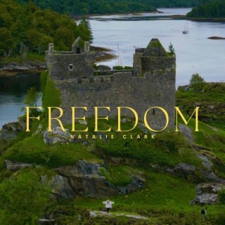 FREEDOM lyrics | Boomplay Music