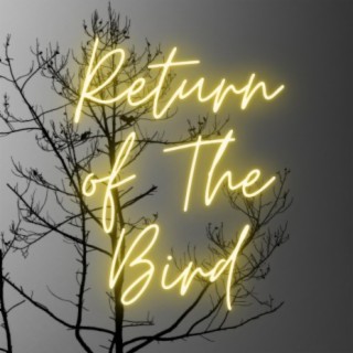 Return of The Bird