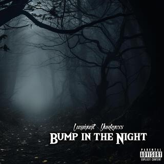 Bump in the Night