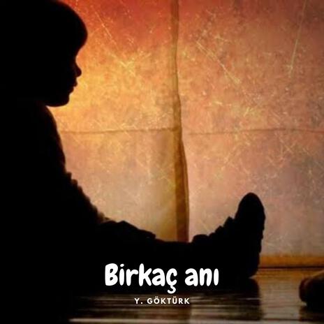 Birkaç anı | Boomplay Music