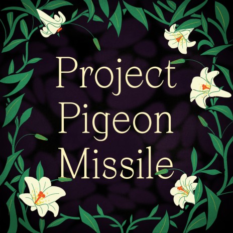 Project Pigeon Missile ft. Annie Gardiner | Boomplay Music