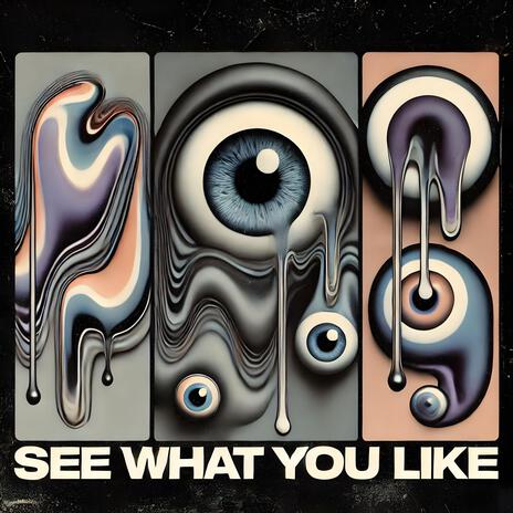 see what you like ft. DCT The Archi7ec7 | Boomplay Music