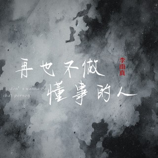 再也不做懂事的人 lyrics | Boomplay Music