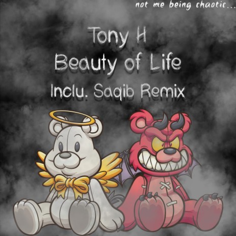 Beauty of Life (Saqib Remix) | Boomplay Music